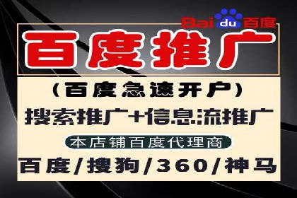 百度竞价广告投放案例剖析
